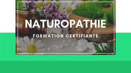 formationalanaturopathie_copie-de-naturopathie-4-min.jpg